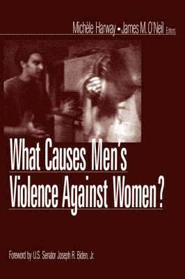 What Causes Men's Violence Against Women? 1