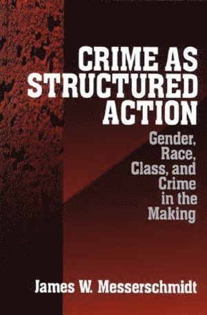 bokomslag Crime as Structured Action