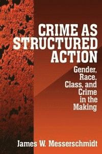 bokomslag Crime as Structured Action