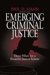 bokomslag Emerging Criminal Justice