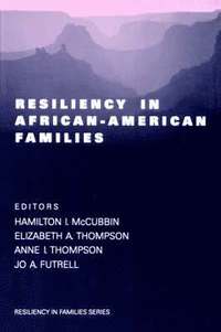 bokomslag Resiliency in African-American Families