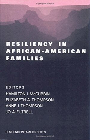 Hamilton Ii McCubbin, Elizabeth A. Thompson, Anne I. Thompson, Julie E. Fromer - Resiliency in African-American Families, Häftad