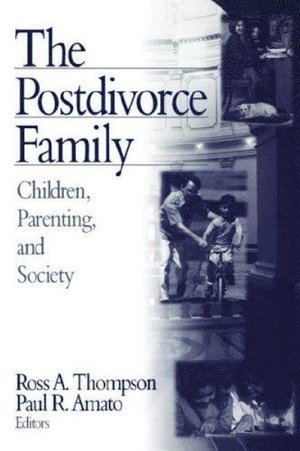 bokomslag The Postdivorce Family