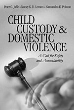 bokomslag Child Custody and Domestic Violence