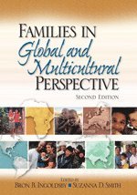 bokomslag Families in Global and Multicultural Perspective