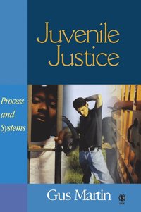 bokomslag Juvenile Justice