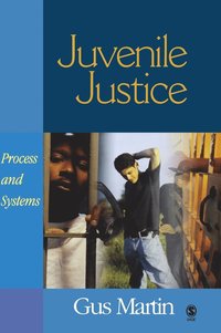 bokomslag Juvenile Justice: Process and Systems