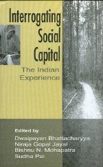 Interrogating Social Capital