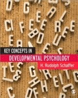 bokomslag Key Concepts in Developmental Psychology