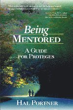 Being Mentored 1