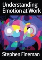 bokomslag Understanding Emotion at Work