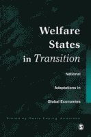 bokomslag Welfare States in Transition