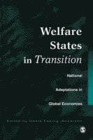 Gosta Esping-Andersen - Welfare States in Transition, Häftad