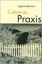 bokomslag Culture as Praxis