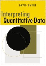 bokomslag Interpreting Quantitative Data