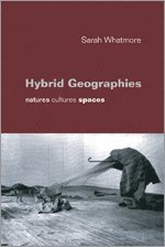 bokomslag Hybrid Geographies