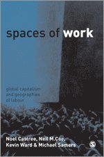 bokomslag Spaces of Work