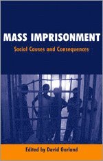 bokomslag Mass Imprisonment