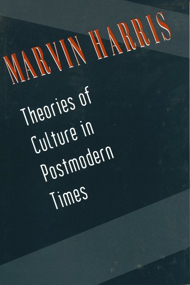 bokomslag Theories of Culture in Postmodern Times