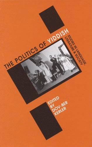 bokomslag Politics of Yiddish