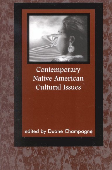 bokomslag Contemporary Native American Cultural Issues