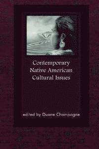 bokomslag Contemporary Native American Cultural Issues