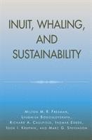 bokomslag Inuit, Whaling, And Sustainability