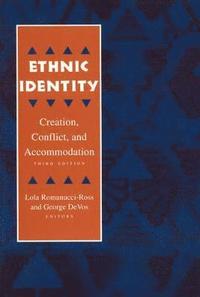 bokomslag Ethnic Identity