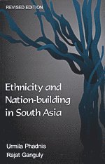 Urmila Phadnis, Rajat Ganguly - Ethnicity and Nation-building in South Asia, Häftad