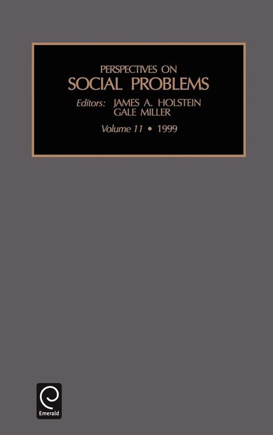 James A. Holstein, Gale Miller - Perspectives on Social Problems, Inbunden