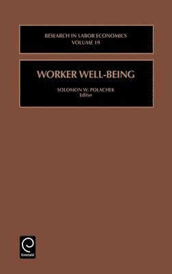 bokomslag Worker Well-Being