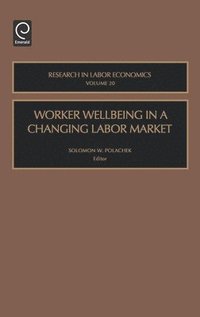 bokomslag Worker Wellbeing in a Changing Labor Market