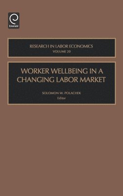 bokomslag Worker Wellbeing in a Changing Labor Market