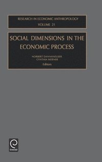 bokomslag Social Dimensions in the Economic Process