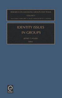 bokomslag Identity Issues in Groups