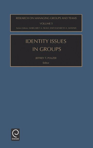 Jeffrey T. Polzer, Elizabeth A. Mannix, Margaret Ann Neale - Identity Issues in Groups, Inbunden