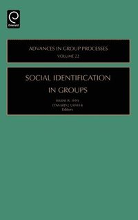 bokomslag Social Identification in Groups