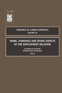 bokomslag Work, Earnings and Other Aspects of the Employment Relation