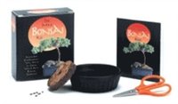 bokomslag Mini Bonsai Kit