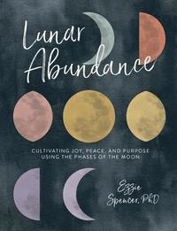 bokomslag Lunar Abundance