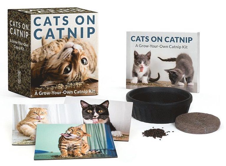 Cats on Catnip: A Grow-Your-Own Catnip Kit 1