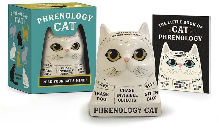 Phrenology Cat 1