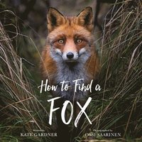 bokomslag How to Find a Fox