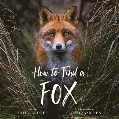 How to Find a Fox 1