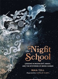 bokomslag The Night School
