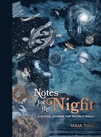 bokomslag Notes for the Night