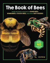 bokomslag The Book of Bees