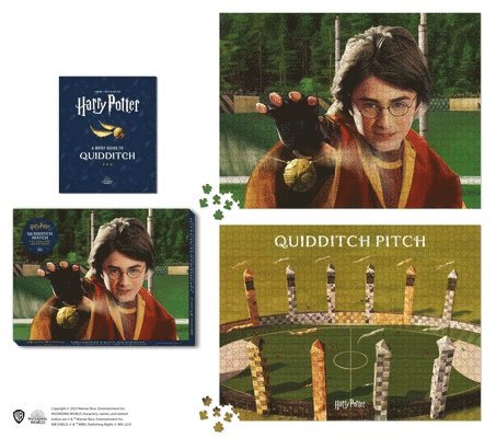 Harry Potter Quidditch Match 2-in-1 Double-Sided 1000-Piece Puzzle 1