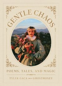 bokomslag Gentle Chaos