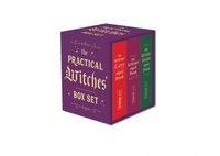 bokomslag The Practical Witches' Box Set